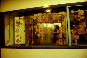 Papiro Real de Turín