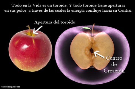 Manzana/Toroide