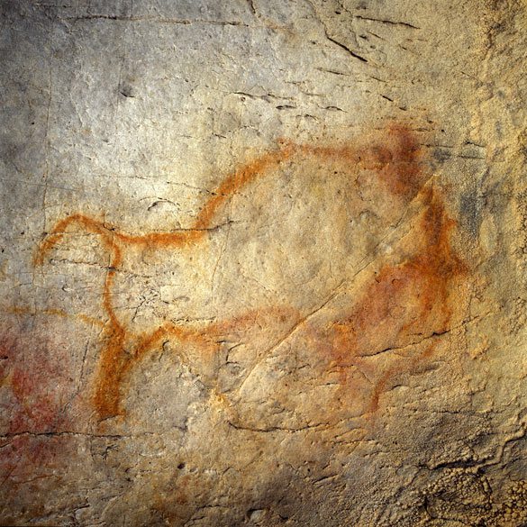 Uno de los bisontes de El Castillo