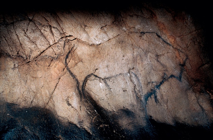 Uno de los bisontes de El Castillo