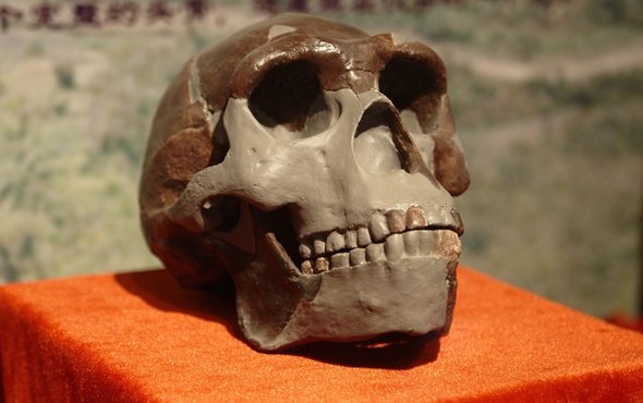 42720B03-9849-44DB-8892BFA7A69DF064