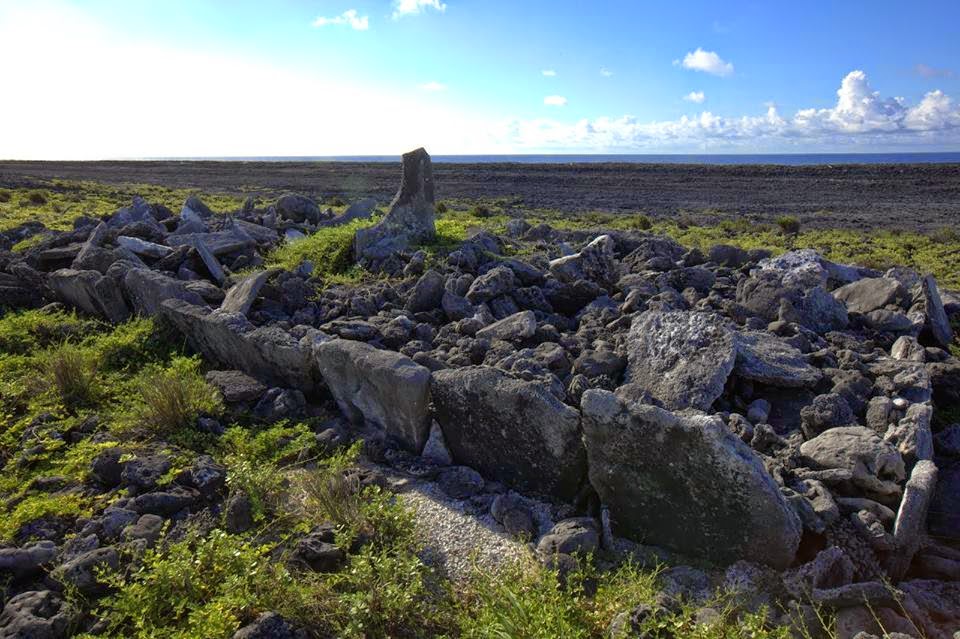 10986886_735812423203238_3181594316690117565_n