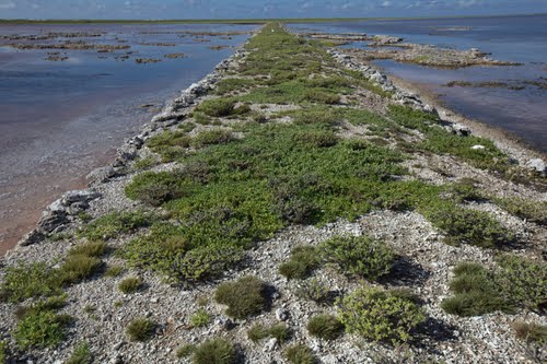malden-route-polynesienne2
