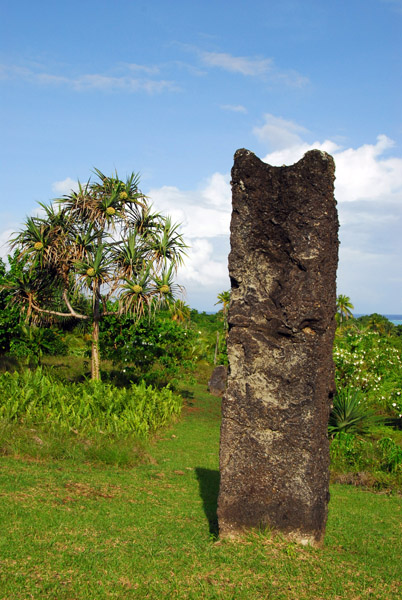 107013531.EXGQj3Zg.PalauNov08642