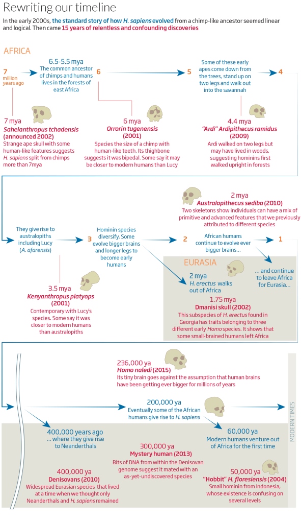G_The_human_story4 copy